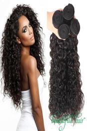 9A Peruvian Virgin Hair Bundles Brazilian Malaysian Wet And Wavy Hair Loose Water Natural Deep Wave Afro Kinky Curly Human Hair Ex9840731