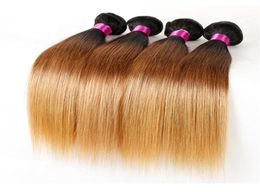 Ombre Straight Hair Weaves Malaysian Indian Peruvian Brazilian Virgin Hair Bundles Human Hair Bundles 1b27 1b99j 1b427 1b306288998