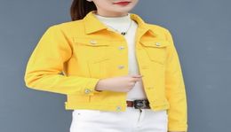 8 Colors pink yellow blue red black cropped jean jacket women 2020 spring summer fall crop short denim jacket coat women C671412623