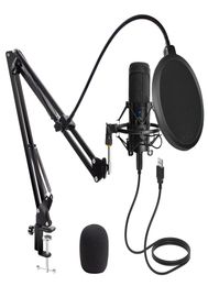 USB Microphone Condenser D80 Recording Micwith Stand and Ring Light for PC Karaoke Streaming Podcasting for YouTube1249658