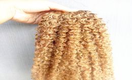 Brazilian Human Virgin Remy Kinky Curly Hair Extensions Dark Blonde 27 Color Hair Weft 23Bundles For Full Head1019176