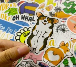 50pcsLot Whole Lovely Cute Vsco Stickers Decals Vinyl Waterproof Noduplicate Sticker For Laptop Skateboard Bottle Ca3281506