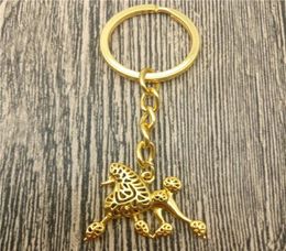 Keychains Poodle Key Chains Fashion Pet Dog Jewellery Car Keychain Bag Keyring For Women Men3738954