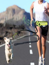 Pet Dog Leashes Hands Cat Running Jogging Padded Waist Bag Belt Reflective Strip Elastic Leash Perfect Walking Training Dogs 260o2584244