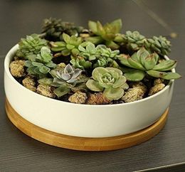 Modern White Ceramic Round Succulent Cactus Planter Pot with Drainage Bamboo TrayDecorative Garden Flower Holder Bowl8916575