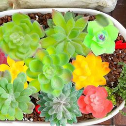 Decorative Flowers Faux Succulents Vibrant Assorted Artificial Realistic Reusable Greenery For Home Decor Table Centerpieces Po