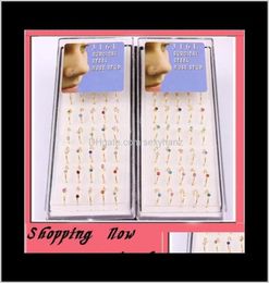Studs Hoop Ring 40PcsLot Mix 6 Colour Cz Gem Body Jewellery Piercing Stud Gold Nose Rings 2Uonp9793202