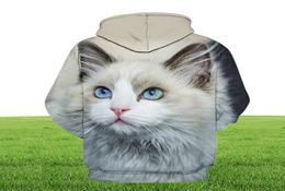 Men039s Hoodies Sweatshirts Cute Cat Boy Girl Outdoor 3D Printing Hoodie Sweater Pet Print Fashion Sports Pullover Autumn And4904751