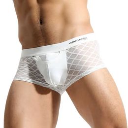 Underpants Sexy mesh underwear mens boxing transparent lace mens underwear boxing shorts summer breathable sexy underwear mens boxing Q240603