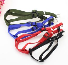 Solid Colour Adjustable Puppy Pet Collars Harnesses Traction Belt Small Dogs Cats Medium Dog Accessories Supplies6641109