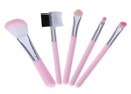 Pink Makeup Brushes For Beginner Tools Kit Eye Shadow Eyebrow Eyeliner Eyelash Lip Brush6377876
