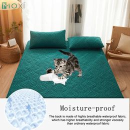 100 Waterproof Quilted Fitted Bed Sheet with Elastic Band Soft Mattress Protector Cover Twin Queen King 160x200cm Home Decor 240601