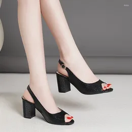 Dress Shoes Women's Pumps Peep Toe Slingback Chunky Heeled High Heels Casual Basic Black White Summer Spring Autumn