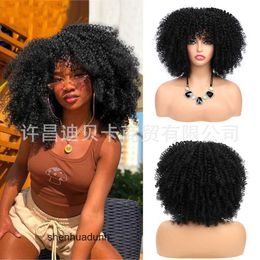 Loose Deep Wave Lace Human Hair Wigs Curly Afro Wig Short Explosive Head Apple Head Cover with Fluffy Small Roll Wig Full Head Set