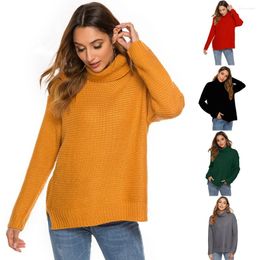 Women's Polos Adisputent 2024 Turtleneck Long Sleeve Women Sweater Solid Loose Casual Sweaters Female Pullovers