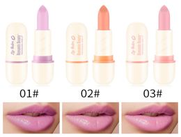 Romantic Beauty Pink Matte Lipstick Moisturising Lip Blam Waterproof Makeup Lip Stick Liquid Longlasting Lip Cosmetic TSLM27837907