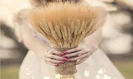 200pcs Natural Dried Flower Bouquets natural raw color dried ear of wheat bouquetswheat ears Bunches Home Decoration Props8162878