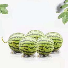 Disposable Dinnerware 100/50pcs Melon Fruit Botanical Tray Watermelon Mat Base Cradle Cultivation Plastic Stand Prevents Rotting Gardening