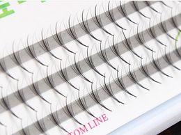 81012mm Volume 5D Eyelash Extensions 005mm Thickness Hair Mink Strip Eyelashes Individual Lashes Fans Lash Natural Style3006232