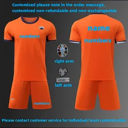 2024 Euro Cup Netherlands Soccer Jerseys MEMPHIS DE JONG VIRGIL DE LIGT GAKPO DUMFRIES BERGVIJN KLAASSEN Fans Player Football Shirt Men Kids Kits 24 25 Home Away 753