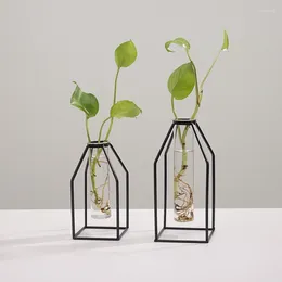 Vases Nordic Style Simple Geometric Wrought Iron Transparent Glass Hydroponic Vase Decoration