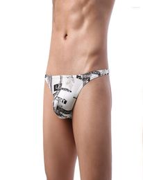 Underpants Male Fashion Knickers Sexy Ride Up Briefs Underwear Pant8237418
