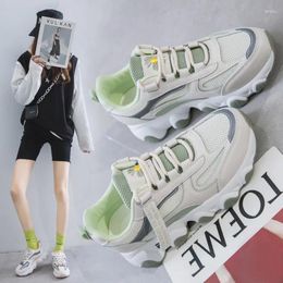 Fitness Shoes 2024 Spring And Summer Wild Dad Female Korean Harajuku Women Ins Mesh Elevator