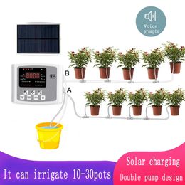 Garden Drip Irrigation Device Double Pump Controller Timer System Solar Energy Intelligent Automatic Watering for Plants 240520