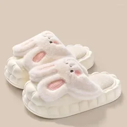 Slippers Cute Funny Cartoon Women Slipper Lovers Waterproof Detachable Liner Home Indoors Flip Flops Shoes