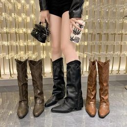 Casual Shoes Winter Woman Thigh High Boots Fashion Back Zippers Long Knight Booties Ladies Thick Sole Girl