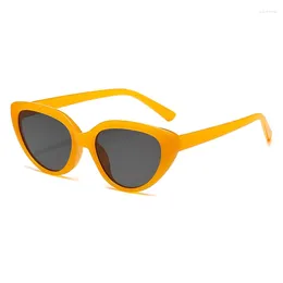 Sunglasses Small Cat Eye Women Brand Designer Candy Colors Sun Glasses Retro Shades Ladies Cateye Mirror Sports Eyewear