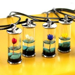 Pendant Necklaces Natural Dried Flower Drop Glue Daisy Necklace Female Time Gem Resin Luminous Bottle Accessories Wholesale