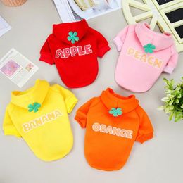 Dog Apparel Pet Clothes Casual Fruit Sweater Coat For Cats Puppy Clothing Chihuahua Bichon Autumn And Winter Warm Outfits