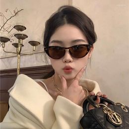 Sunglasses Vintage Cateye Woman Sexy Retro Small Cat Eye Sun Glasses Brand Round Colorful Eyewear For Female