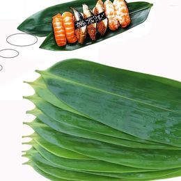 Disposable Dinnerware 100 Pcs Sushi Zongzi Leaf Leaves Make Kit Plate Decorations Holiday Party For Cooking (100 12" L X 3.2" W)
