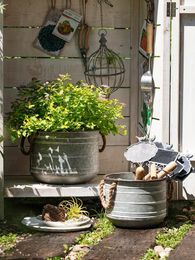 Vases Vintage Distressed Iron Flower Bucket Plant Pot Balcony Garden Shop Arrangement Ornaments
