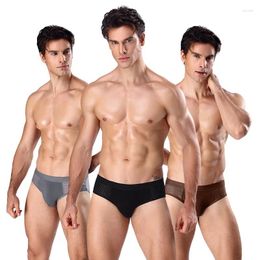 Underpants Men's Briefs Slips Bulge Pouch Underwear Men Slip 2024 Modal Sexy Man Mesh Panties For Mens With
