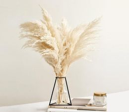 Pampas Grass Decor White Color Fluffy Natural Dried Flowers Bleached Bouquet Boho Vintage Style for Wedding Home Christmas Decor1109332