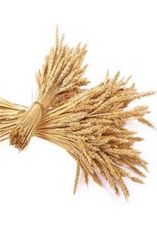 Decorative Flowers Wreaths 23cm Real Dried Wheat Stalks Natural Flower Bouquet For Wedding Party Home Kitchen Table Decoration D418422279