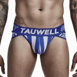 Underpants 2024 TAUWELL Men Briefs Sexy Underwear Striped Panties Low Waist Male Designed