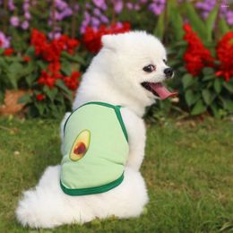 Dog Apparel Camisole Mesh Breathable Cat Pet Small Medium Spring Summer Supplies Clothes Teddy Avocado T-Shirt Vest Accessories