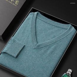 Men's Sweaters Merino Wool V-Neck Pullover Autumn And Winter Basic Knit Versatile Sweater Casual Long Sleeve Shirt Cashmere Man Top