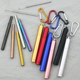 Drinking Straws Stainless Steel Metal Straw Reusable With Cleaning Brush Carry Case Collapsible Portable Set