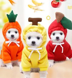 Dog Apparel Fruit Warm Coat Cat Sweater Cold Weather Costume For Puppy Small Medium Large Clothes Hooded Sweatshirt