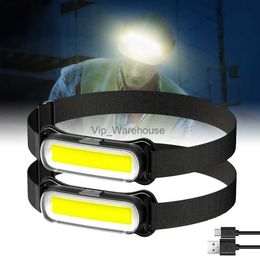 Torches Powerful COB LED Head Lamp USB Rechargeable Headlight Outdoor Waterproof Headlamp Lightweight Head Light for Camping Hiking HKD230901