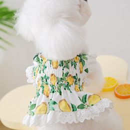 Dog Apparel Summer Lace Suspender Skirt Cat Vest Small Spring And Fresh Teddy Dress Pet Clothing