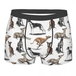 Underpants Novelty Boxer The Whippet Shorts Panties Men Underwear Greyhound Sighthound Dog Breathable For Male Plus Size