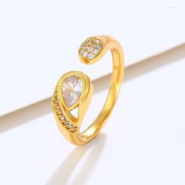 Cluster Rings Wholesale Price -- Snake Shaped Zircon ( Adjusted ) For Men Women Pure Gold Color Fashion Jewelry No Nickel