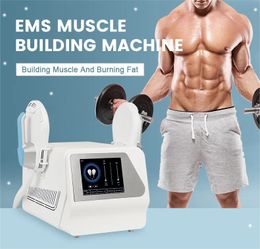 Popular 2 handles muscle trainer fat burn skin lift personal use electromagnetic Reduce belly fat EMS slim beauty machine