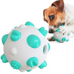 Wholesale Of New Popular Amazon Tiktok Dog Grinding Toy Ball Toothbrush For Pet Product Factories